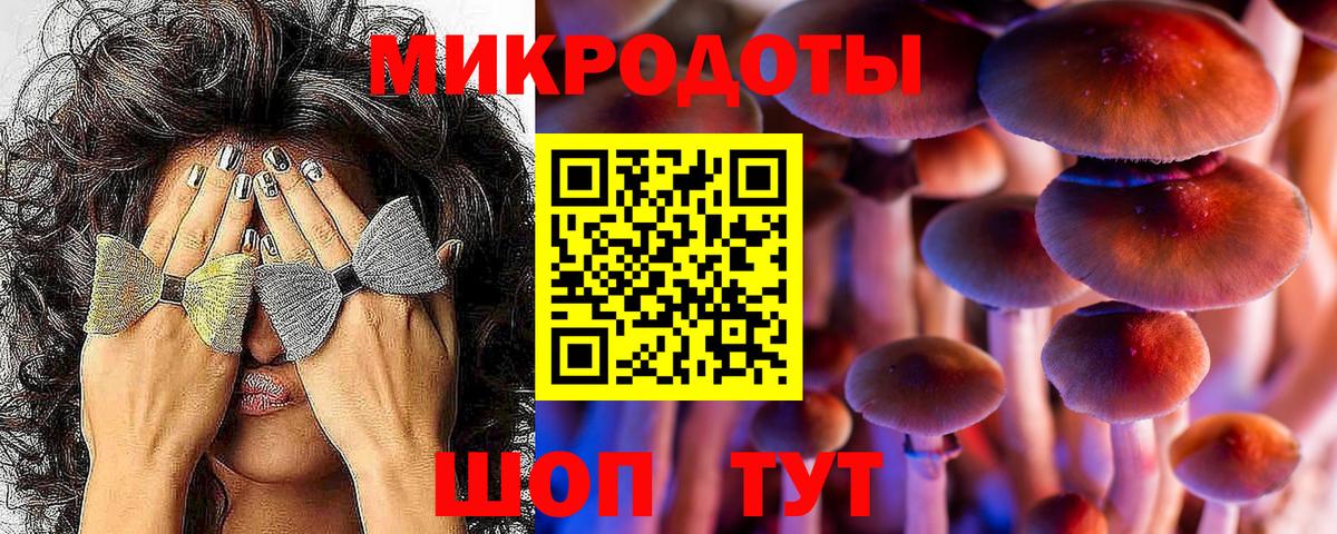 Галлюциногенные грибы Magic Shrooms Дзержинск
