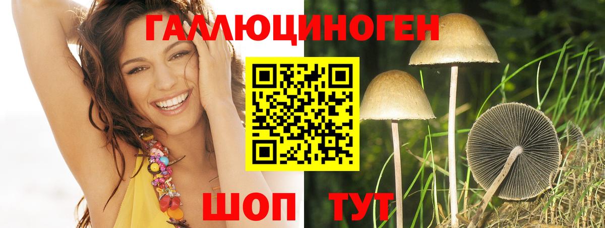 Псилоцибиновые грибы Psilocybine cubensis  Вход с VPN  Дзержинск  Псилоцибиновые грибы прущие грибы 